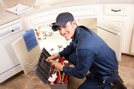 Best Residential Plumbing Services  in Black Canyon City, AZ